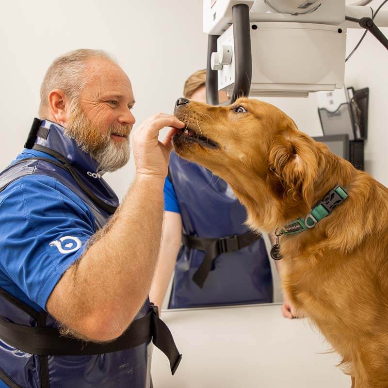 Vet Tech Dog Snack